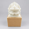 Dragon Turtle - Ivory White