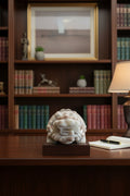 Exquisite Dragon Turtle Sculpture