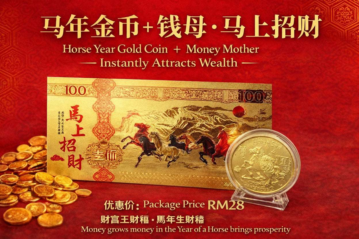 Horse Wealth Attraction Coin Set
